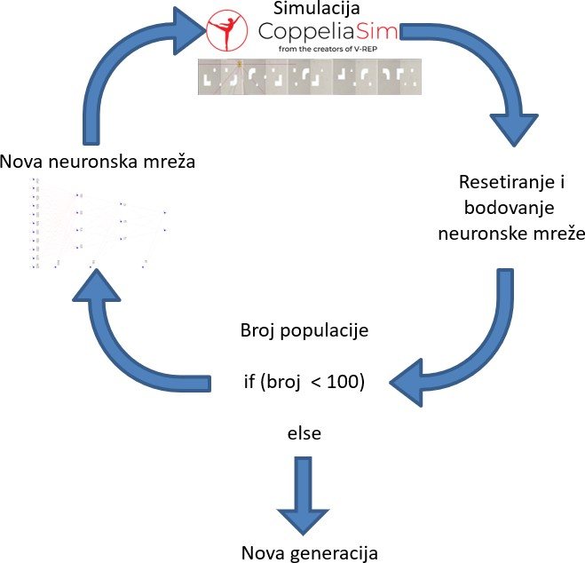 Ciklus učenja neuroevolucijom